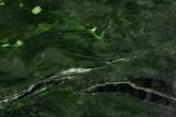 Beautiful, Polished Jade (Nephrite) Slab - British Colombia #112754-1